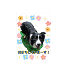 スクールの仲間たち4（個別スタンプ：22）