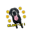 スクールの仲間たち4（個別スタンプ：24）