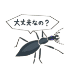 相槌をする虫たち（個別スタンプ：18）