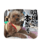 可愛いカフェとモカ その6（個別スタンプ：2）