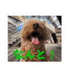 可愛いカフェとモカ その6（個別スタンプ：3）