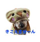 可愛いカフェとモカ その6（個別スタンプ：8）