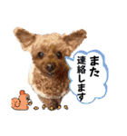 可愛いカフェとモカ その6（個別スタンプ：18）