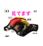 可愛いカフェとモカ その6（個別スタンプ：19）