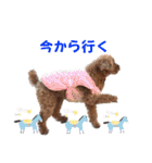 可愛いカフェとモカ その6（個別スタンプ：20）