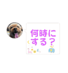 可愛いカフェとモカ その6（個別スタンプ：24）