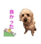 可愛いカフェとモカ その6（個別スタンプ：27）