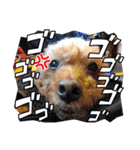 可愛いカフェとモカ その6（個別スタンプ：29）