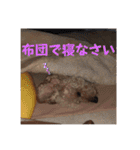 可愛いカフェとモカ その6（個別スタンプ：32）