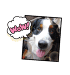 KOBE STAMP 1（個別スタンプ：1）