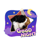 KOBE STAMP 1（個別スタンプ：2）