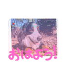 KOBE STAMP 1（個別スタンプ：3）