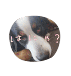 KOBE STAMP 1（個別スタンプ：4）