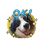 KOBE STAMP 1（個別スタンプ：6）