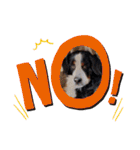 KOBE STAMP 1（個別スタンプ：7）