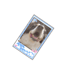 KOBE STAMP 1（個別スタンプ：8）