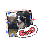 KOBE STAMP 1（個別スタンプ：11）