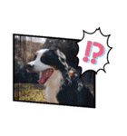 KOBE STAMP 1（個別スタンプ：12）