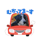 KOBE STAMP 1（個別スタンプ：13）