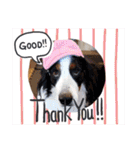 KOBE STAMP 1（個別スタンプ：15）