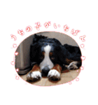 KOBE STAMP 1（個別スタンプ：17）