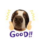 KOBE STAMP 1（個別スタンプ：18）