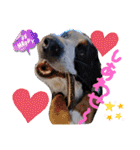 KOBE STAMP 1（個別スタンプ：20）