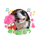 KOBE STAMP 1（個別スタンプ：21）