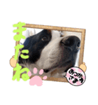 KOBE STAMP 1（個別スタンプ：22）