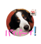 KOBE STAMP 1（個別スタンプ：23）