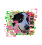 KOBE STAMP 1（個別スタンプ：24）