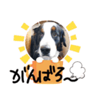 KOBE STAMP 1（個別スタンプ：25）