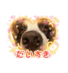 KOBE STAMP 1（個別スタンプ：27）