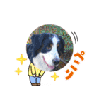 KOBE STAMP 1（個別スタンプ：28）