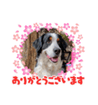 KOBE STAMP 1（個別スタンプ：30）