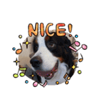 KOBE STAMP 1（個別スタンプ：32）