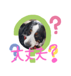 KOBE STAMP 1（個別スタンプ：33）