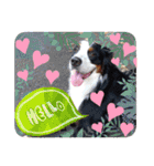 KOBE STAMP 1（個別スタンプ：40）