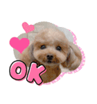 COCO ＆ LILIA（個別スタンプ：1）