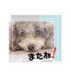 COCO ＆ LILIA（個別スタンプ：4）