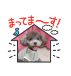 COCO ＆ LILIA（個別スタンプ：5）
