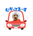 COCO ＆ LILIA（個別スタンプ：6）