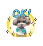 COCO ＆ LILIA（個別スタンプ：7）