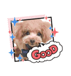 COCO ＆ LILIA（個別スタンプ：10）