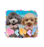 COCO ＆ LILIA（個別スタンプ：13）