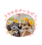 COCO ＆ LILIA（個別スタンプ：18）