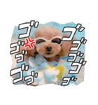 COCO ＆ LILIA（個別スタンプ：20）