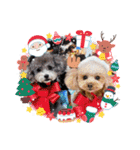 COCO ＆ LILIA（個別スタンプ：21）