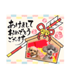 COCO ＆ LILIA（個別スタンプ：22）