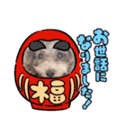 COCO ＆ LILIA（個別スタンプ：23）